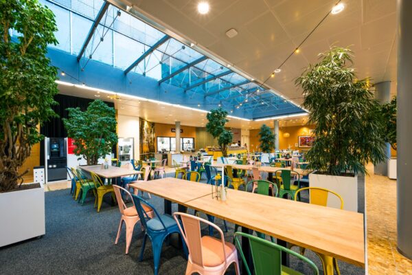 Moderne bedrijfskantine aan de Burgemeester Rijnderslaan met kleurrijke stoelen, houten tafels, veel groen en een glazen dak.
